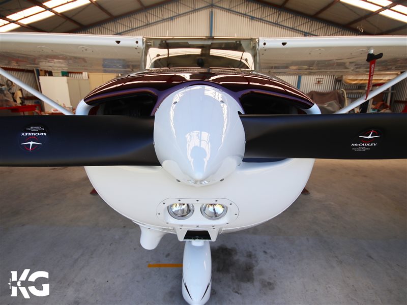 1978 Cessna 172N Aircraft