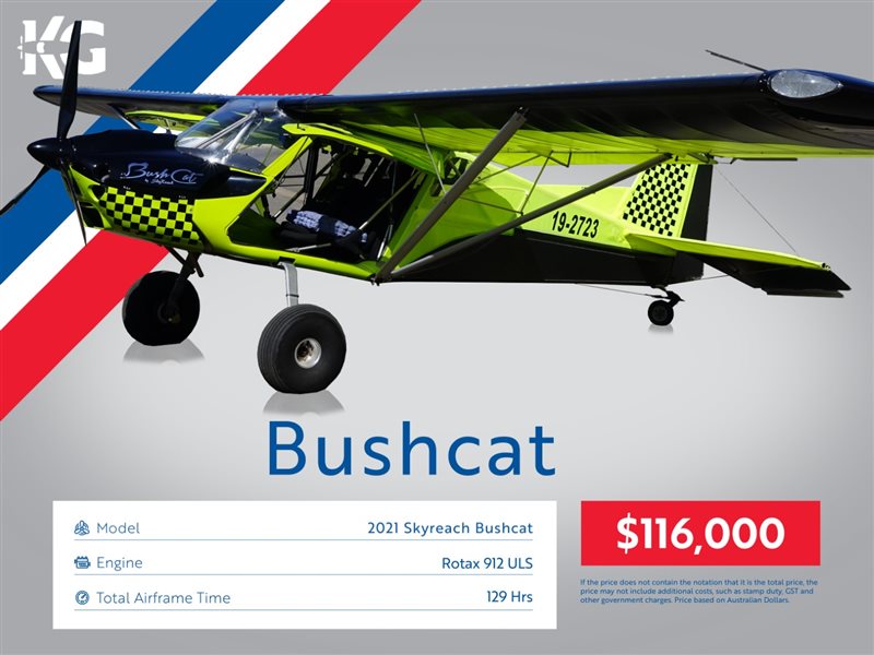 2021 Skyreach Bushcat Tailwheel Aircraft