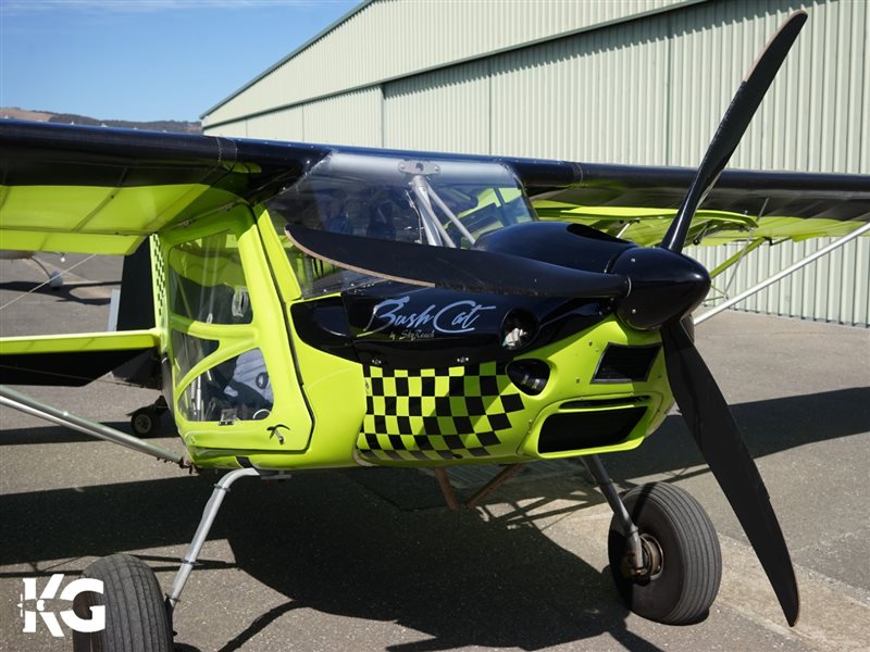 2021 Skyreach Bushcat Tailwheel Aircraft