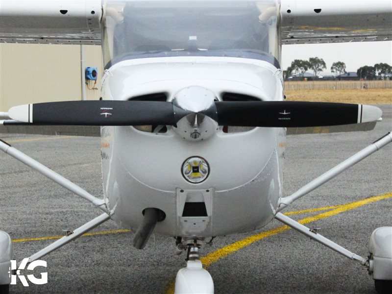 1976 Cessna 172N Aircraft
