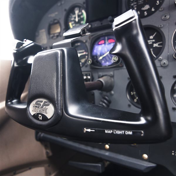 2019 Cessna 172 Cessna 172 R Hawk XP