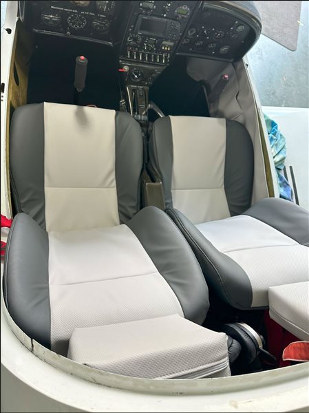 2002 TL Ultralight 2000 Sting Sport Aircraft