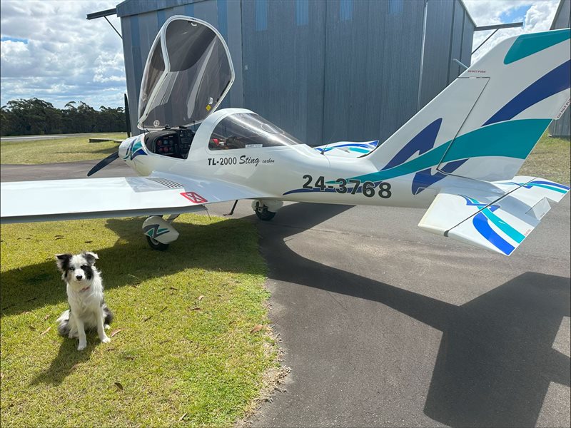 2002 TL Ultralight 2000 Sting Sport Aircraft
