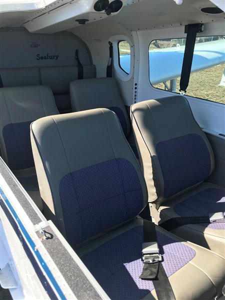 1990 Lake Seafury Aircraft