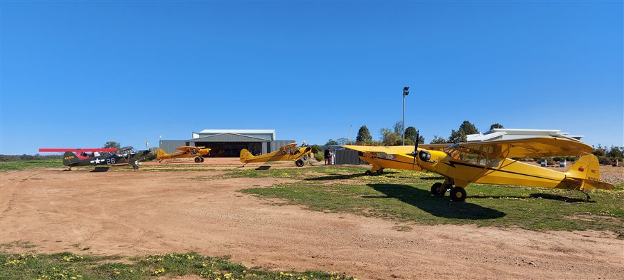 1942 Piper J3 L4 the military version of J3 Cub