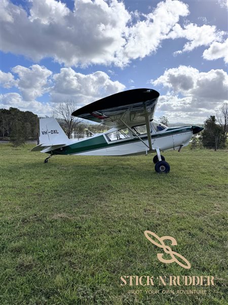 2009 American Champion 8-GCBC Scout Aircraft