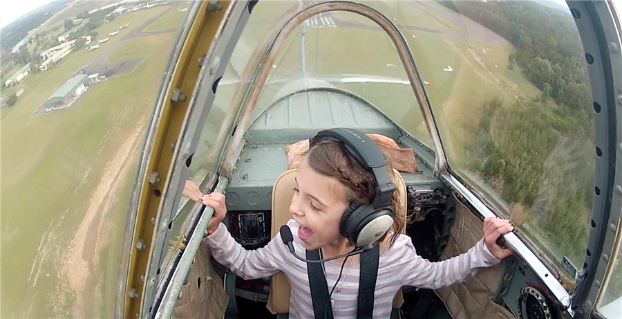 1990 Yakovlev Yak 52 Aircraft