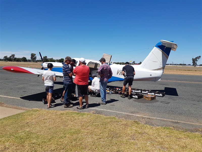 1979 Piper Lance Aircraft