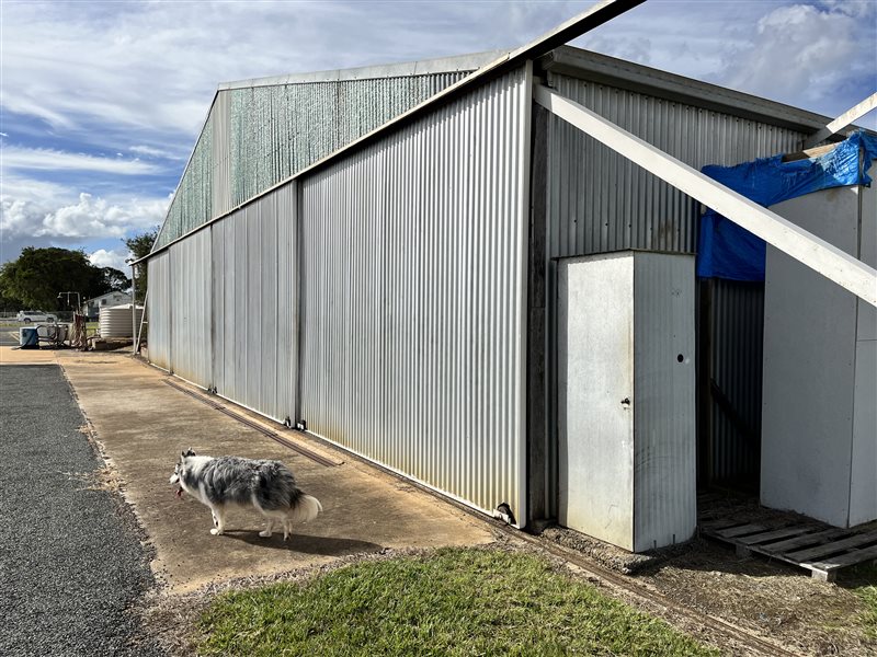 Hangars - Hangar - Kingaroy