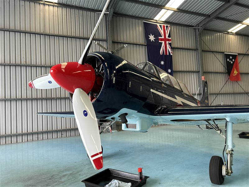 2004 Yakovlev Yak 52 TW