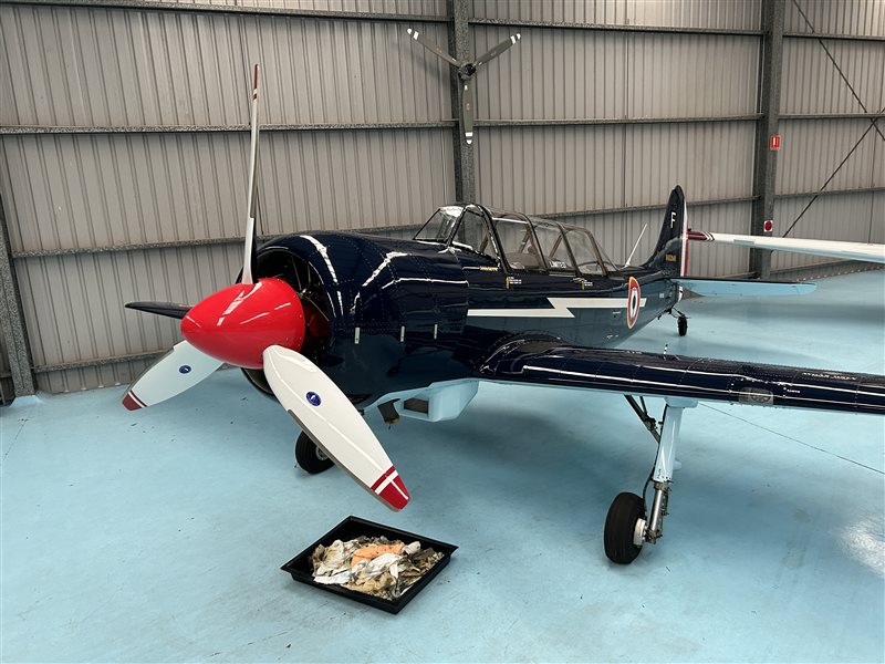 2004 Yakovlev Yak 52 TW