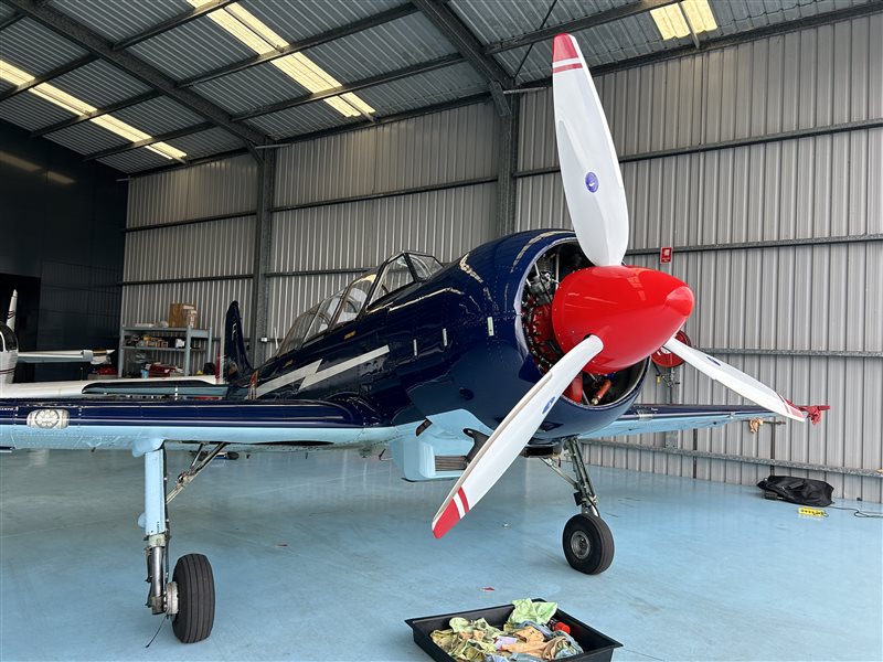 2004 Yakovlev Yak 52 TW