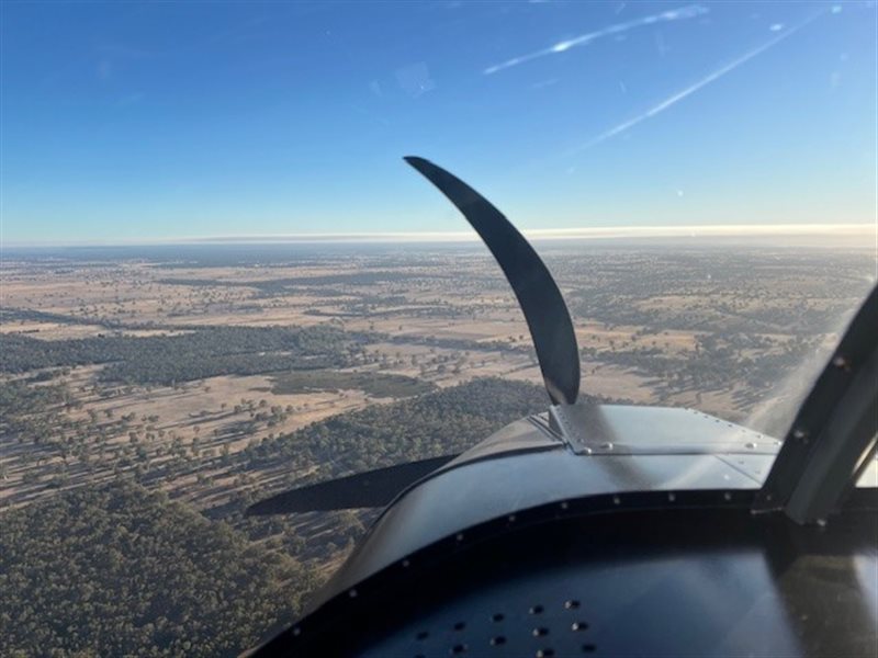 2024 Hornet Cub STOL 71