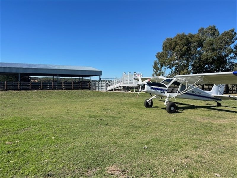 2024 Hornet Cub STOL 71