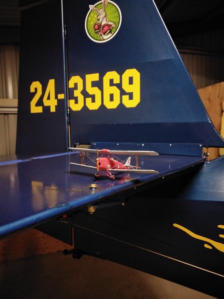 1996 Skyfox Gazelle Aircraft