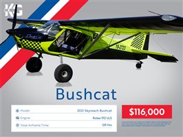 2021 Skyreach Bushcat Tailwheel Aircraft