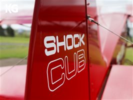 2017 Zlin Savage Shock Cub Aircraft