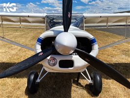 1990 Skyfox CA22