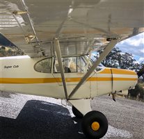 1980 Piper Super Cub Pa18-150