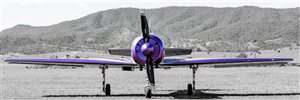 1984 Yakovlev Yak 52 Aircraft
