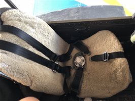 5 point harness and sheepskin on both seats