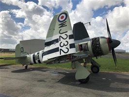 1953 Hawker Sea Fury MKII