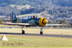 1983 Yakovlev Yak 52 Aircraft