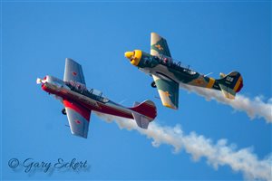 1983 Yakovlev Yak 52 Aircraft