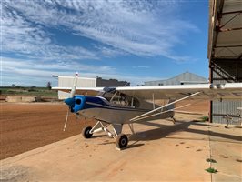 1977 Piper Cub Aircraft