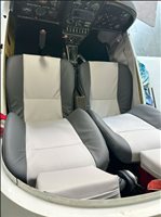 2002 TL Ultralight 2000 Sting Sport Aircraft