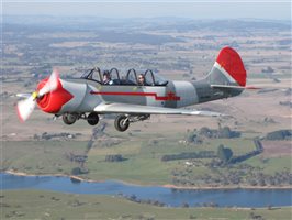 1985 Yakovlev Yak 52 Aircraft