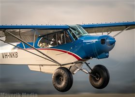 1980 Piper Super Cub PA18-180 Super Cub