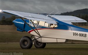 1980 Piper Super Cub PA18-180 Supercub