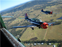 1990 Yakovlev Yak 52 Aircraft