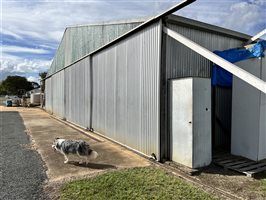 Hangars - Hangar - Kingaroy