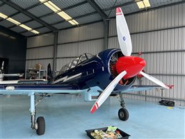 2004 Yakovlev Yak 52 TW