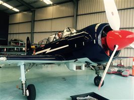 2004 Yakovlev Yak 52 TW