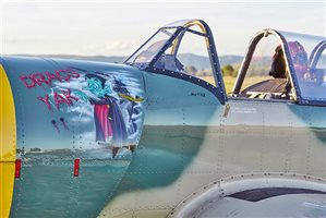 1983 Yakovlev 52 Aircraft