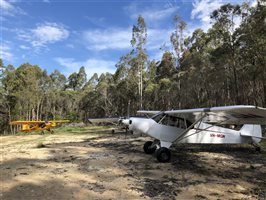 1965 Piper Super Cub Aircraft