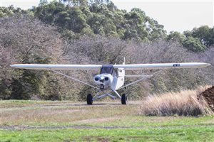 1965 Piper Super Cub Aircraft