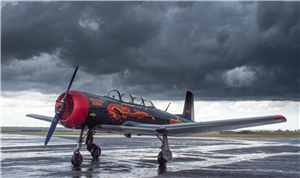 Businesses - Warbird Adventure Flight