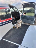 1965 Piper Cherokee 180 Aircraft